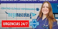 Cursos, actividades...   